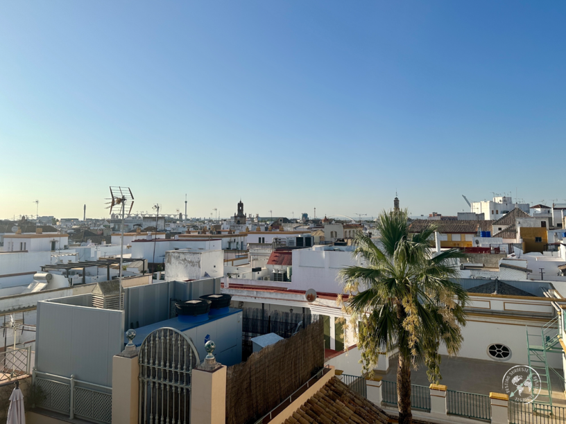 terrazas en Sevilla con vistas