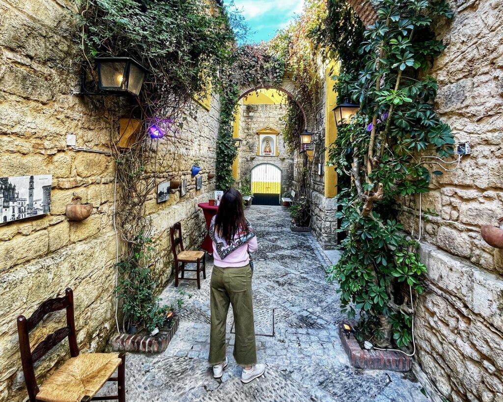 donde comer en jerez bien y barato