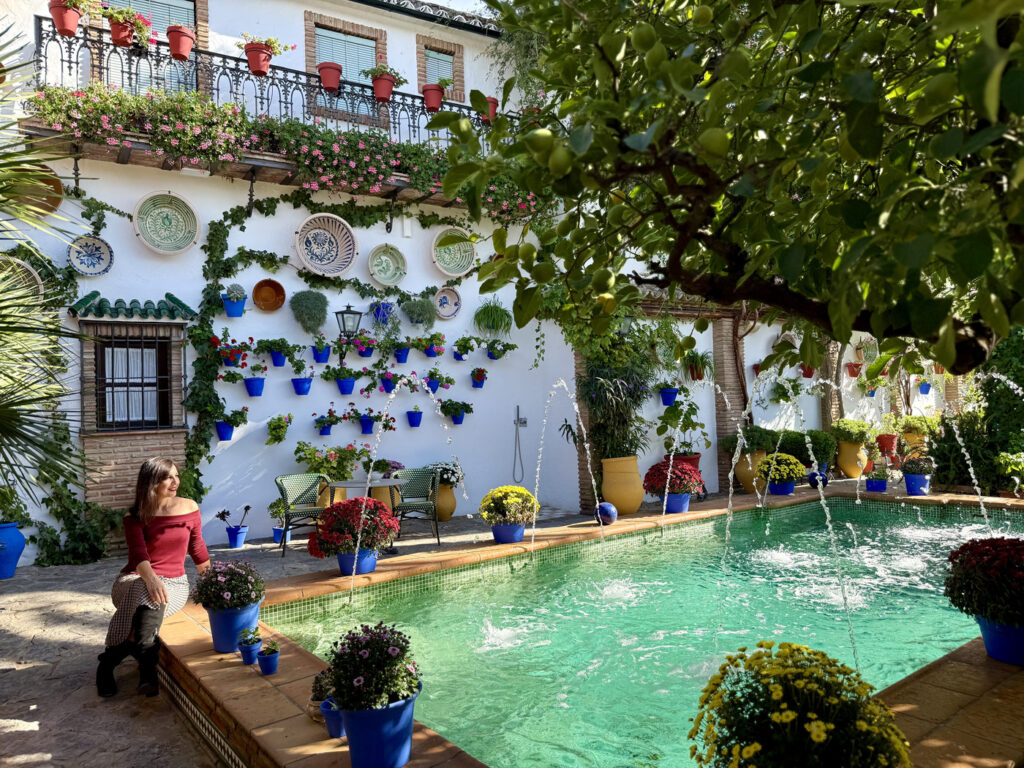 que ver en rute en navidad