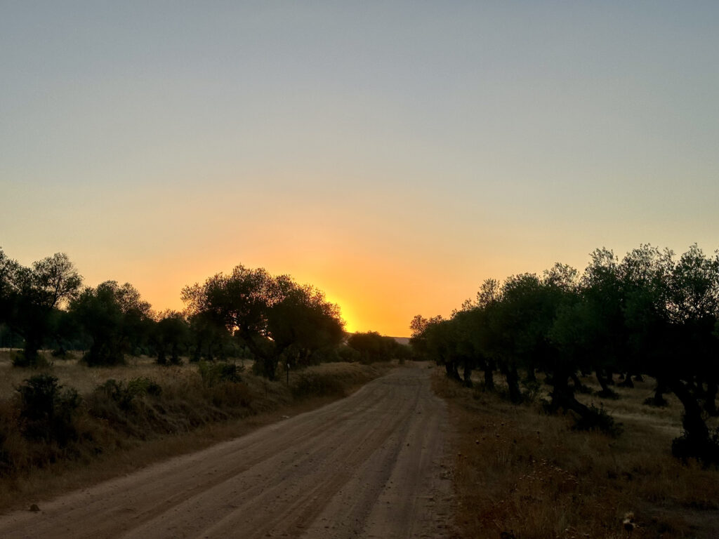 berrea extremadura