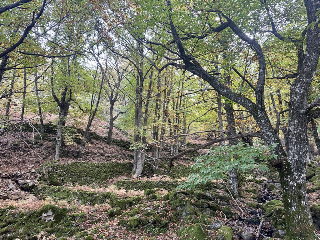 valle del ambroz rutas