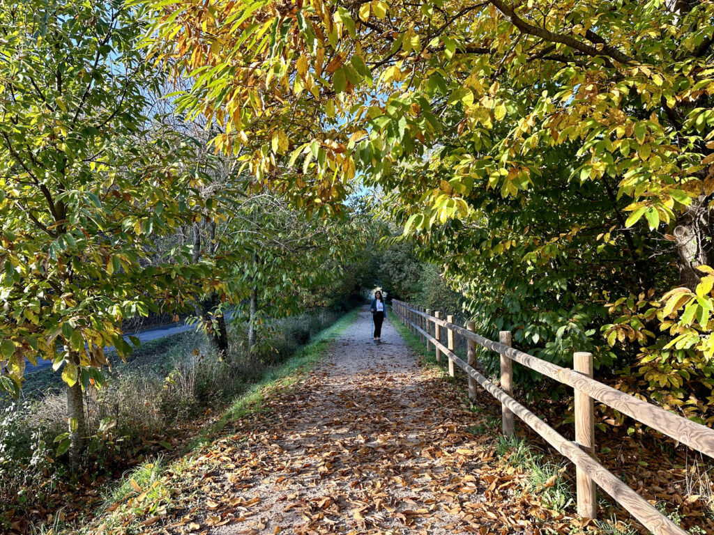 rutas valle ambroz otoño