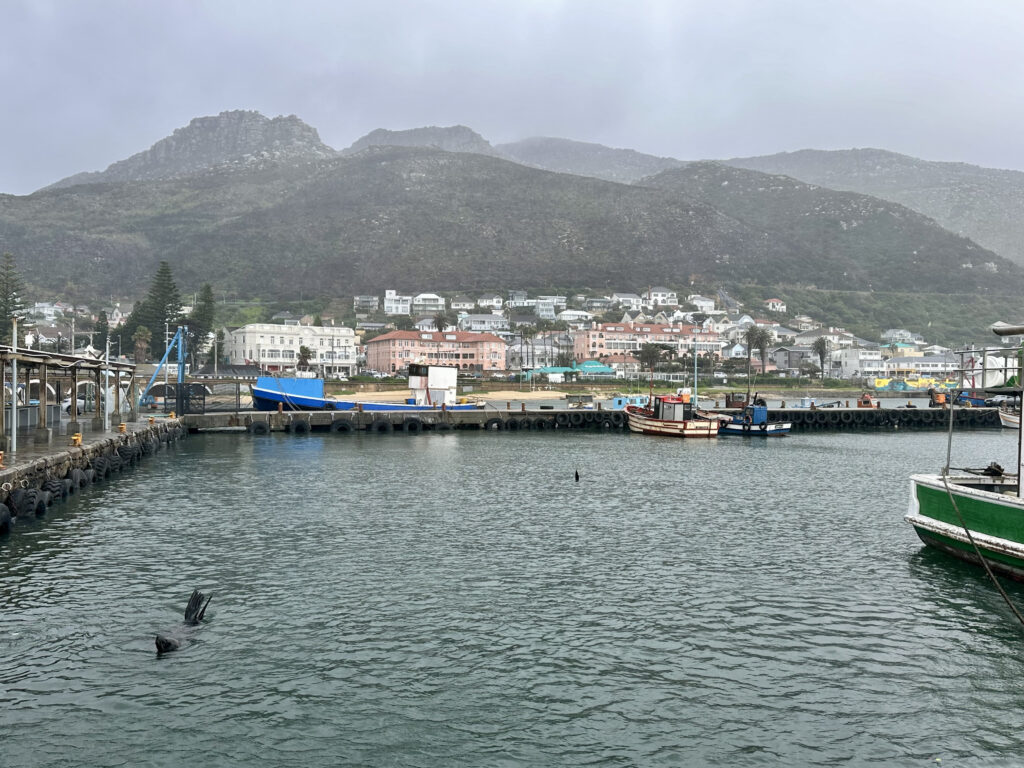 que ver en Ciudad del Cabo y alrededores