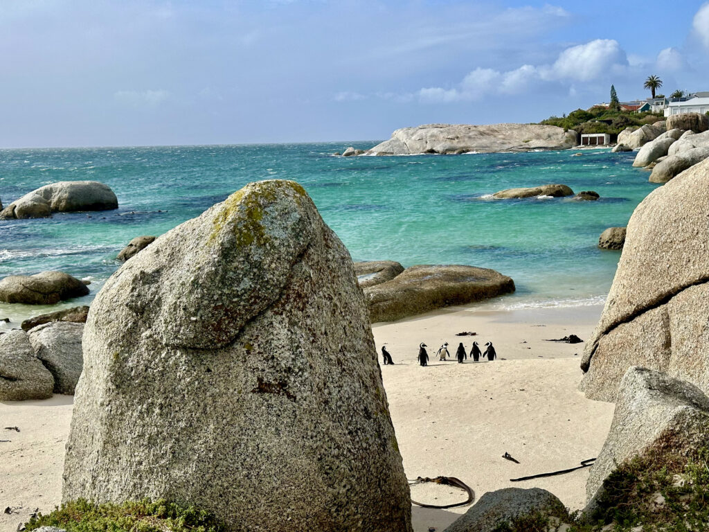 que ver en Ciudad del Cabo y alrededores