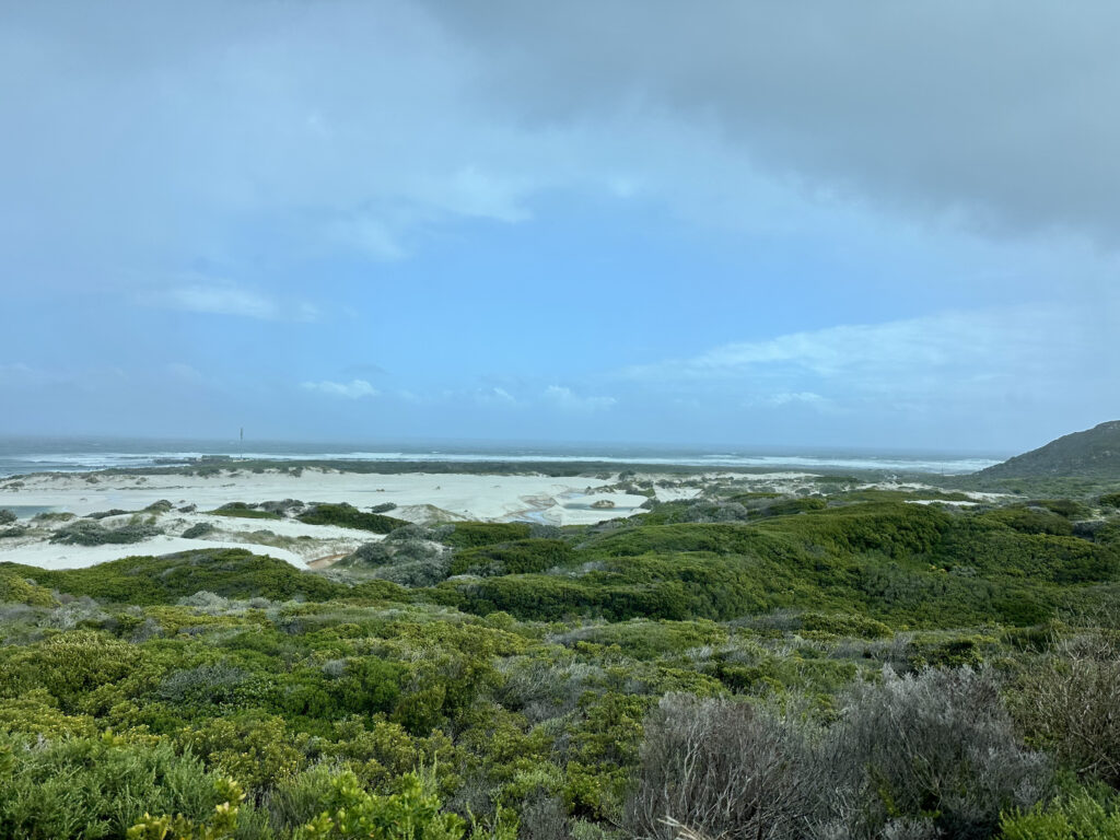 que ver en península del cabo y alrededores de Ciudad del Cabo