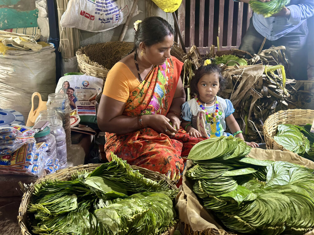 que ver en india tres semanas