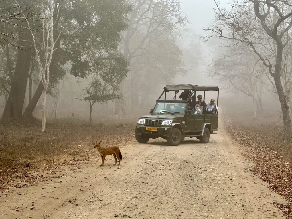 que ver en india tres semanas