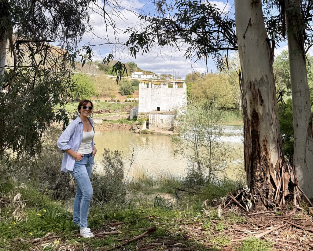 planes provincia de sevilla