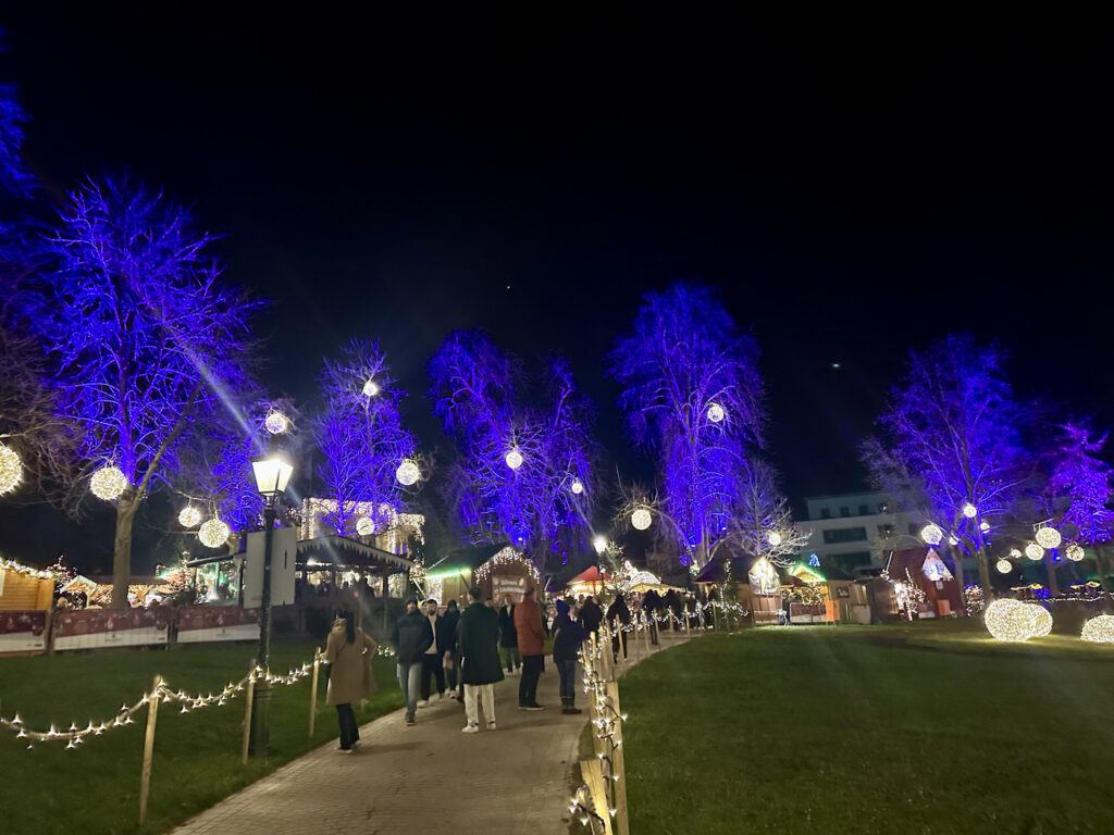mercado navidad friburgo