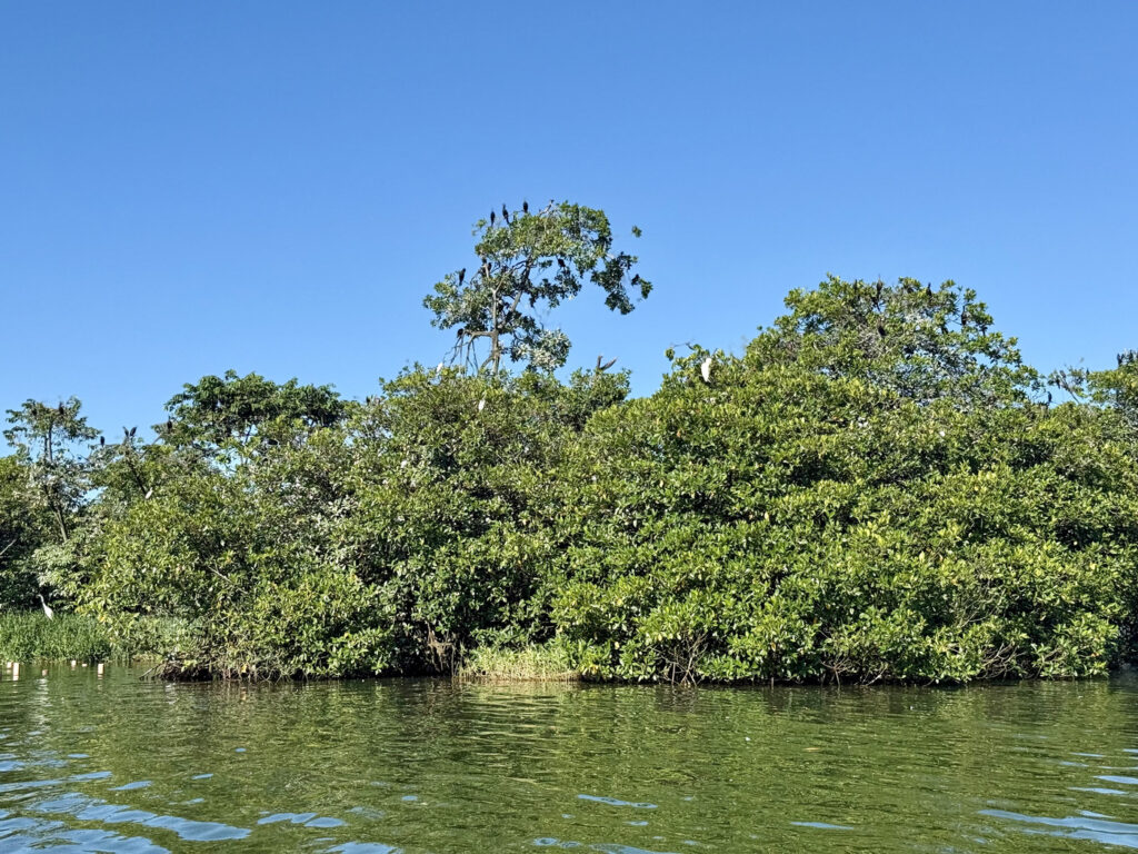 que ver en rio dulce guatemala