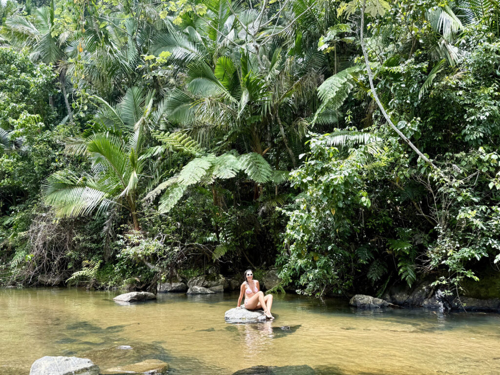 que ver en Puerto Rico el yunque