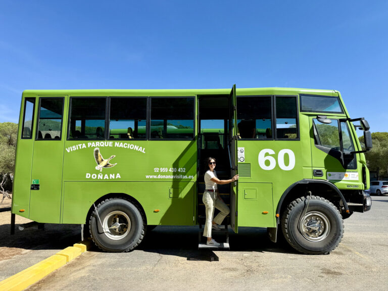 Visitar Do ana Mejor poca 4x4 Entradas Horarios Y M s Visitar Do ana Mejor poca 4x4 Entradas Horarios Y M s
