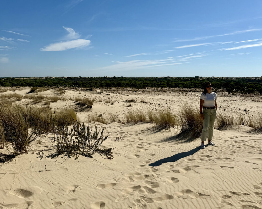 visitar doñana por libre