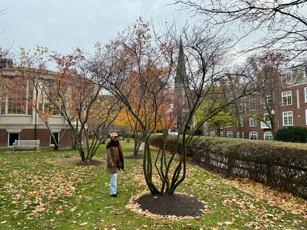 harvard que ver en boston en dos dias