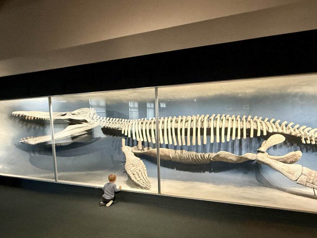 que ver en boston en dos dias