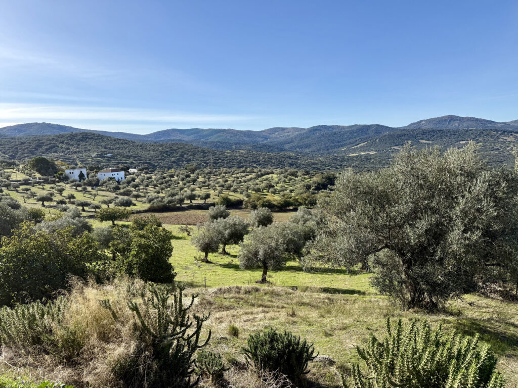 ruta cerro tentudia a pie