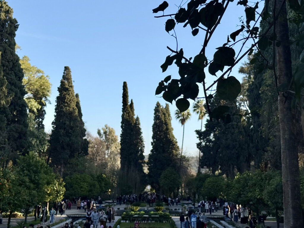 que ver en fez en uno, dos o tres dias