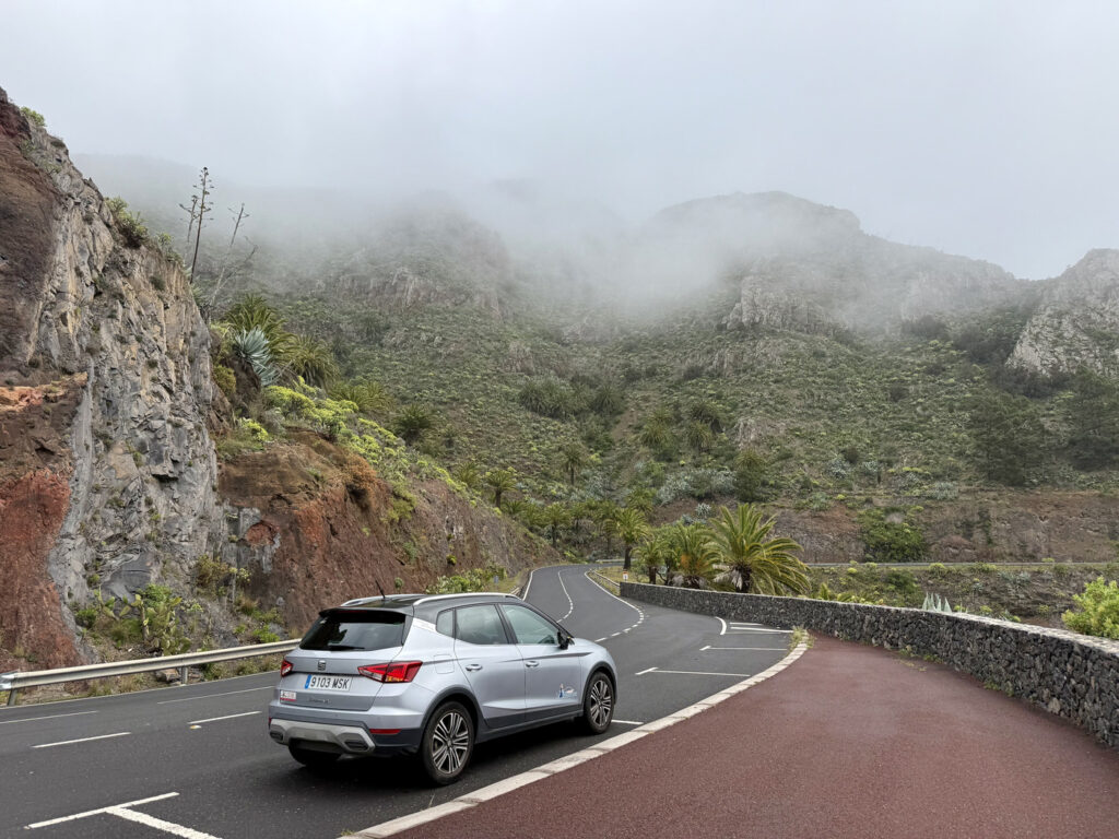 alquiler coche la gomera