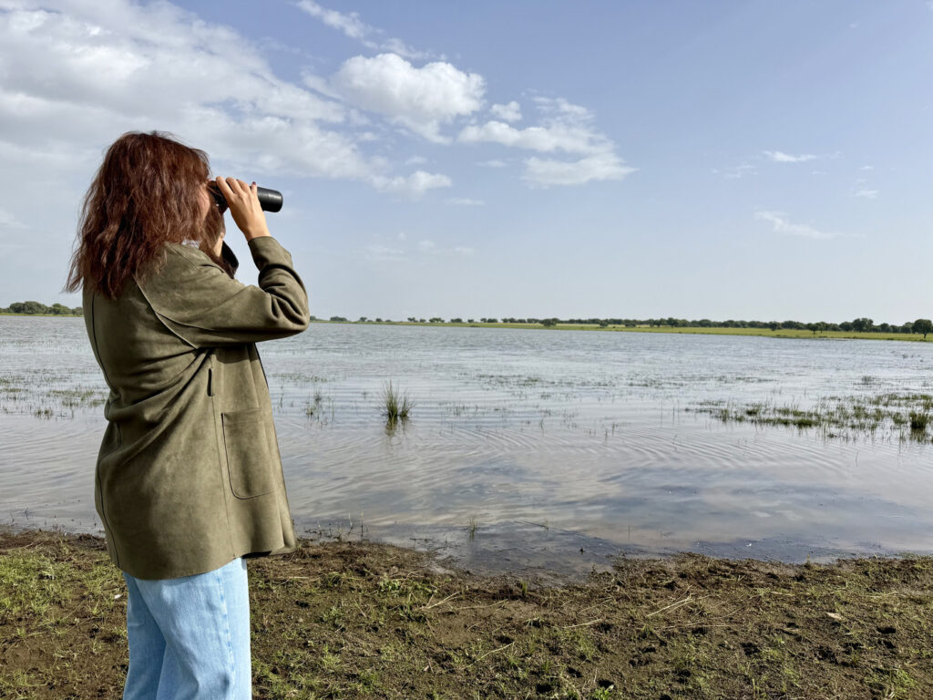 avistamiento aves badajoz