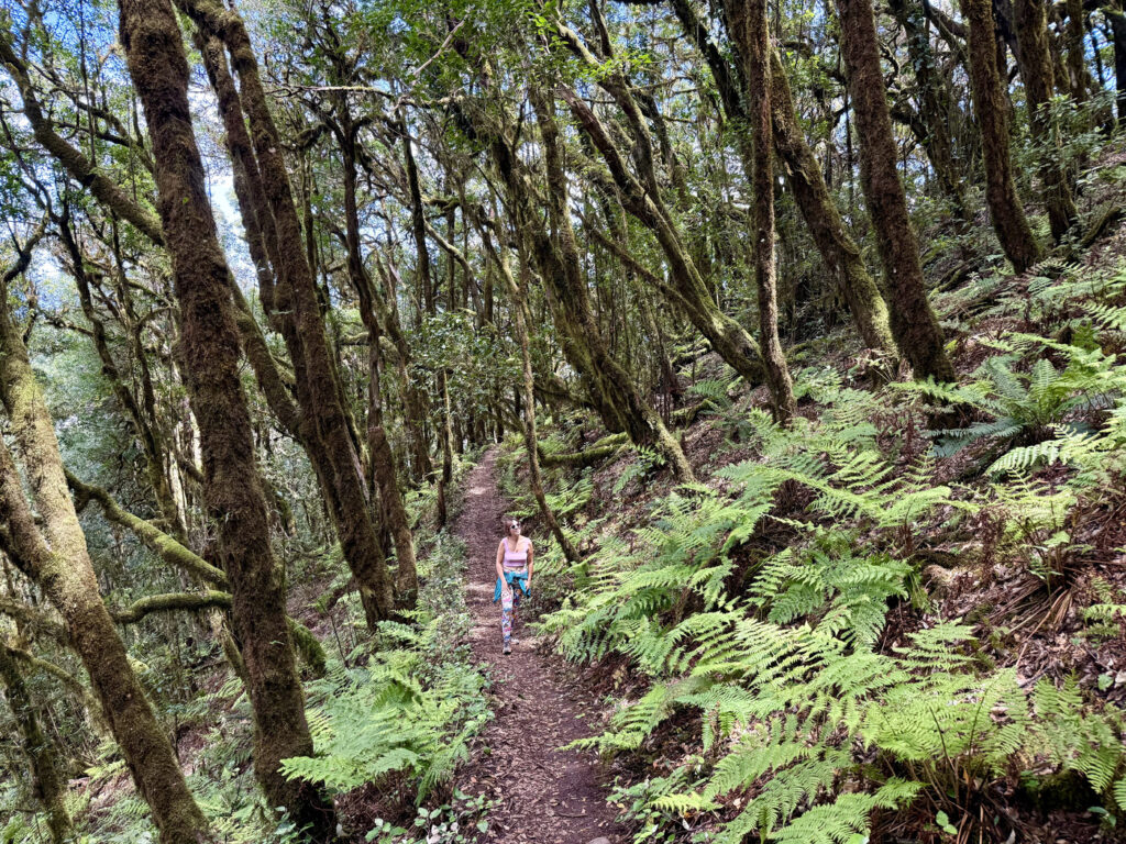 mejores rutas senderismo