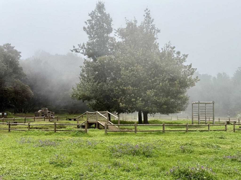 que ver en la gomera ruta