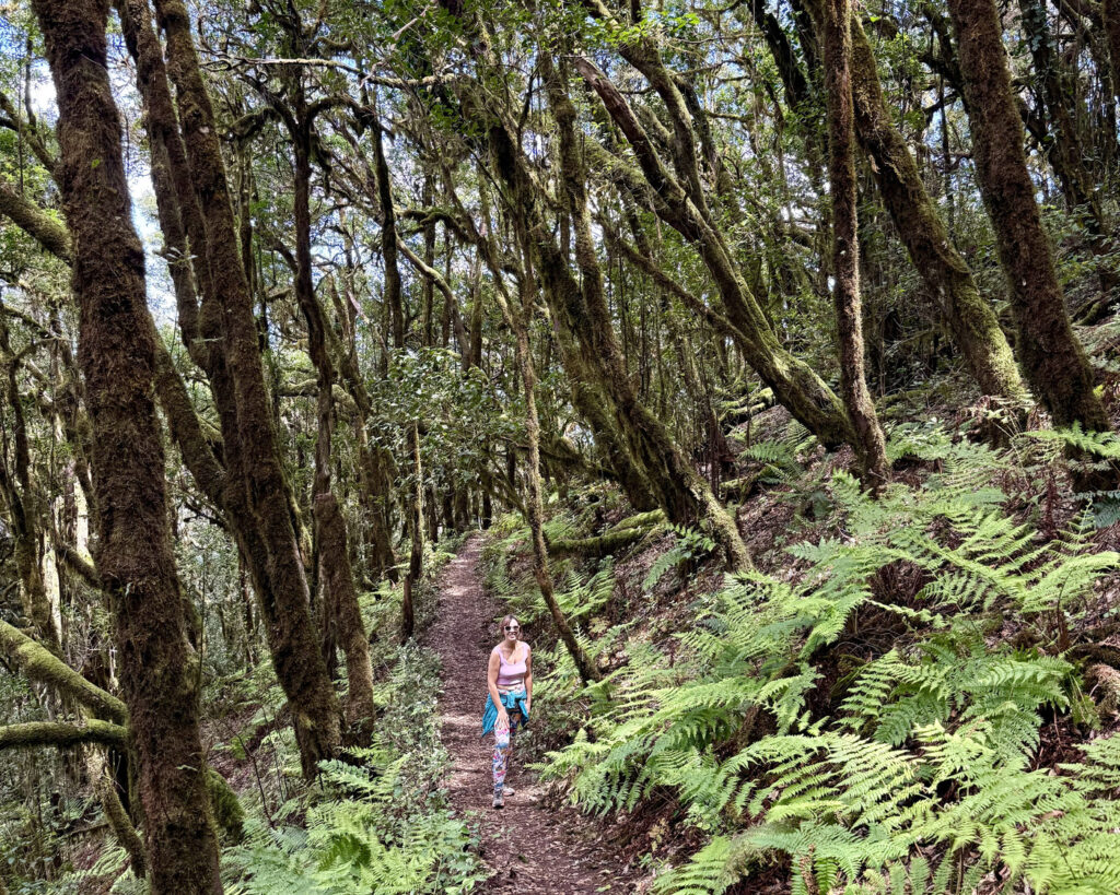 rutas garajonay la gomera