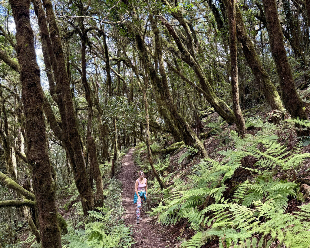 rutas senderismo garajonay