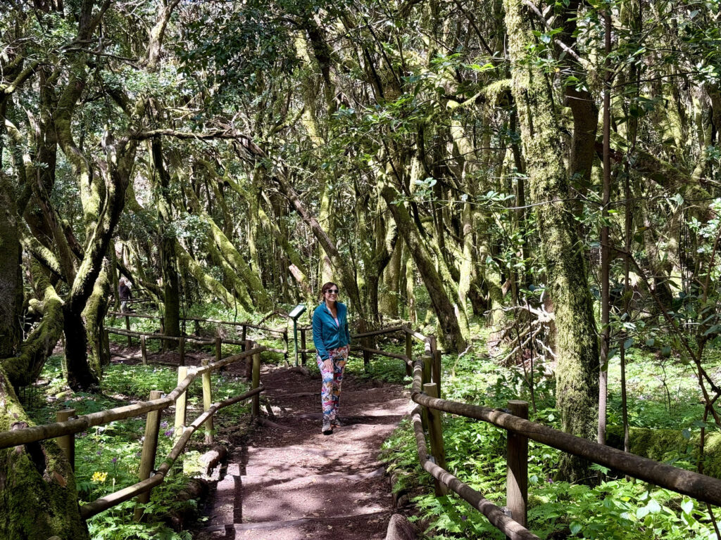 rutas senderismo la gomera