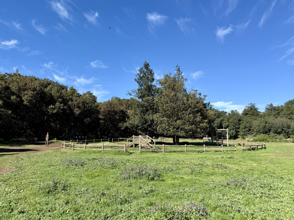 rutas senderismo la gomera