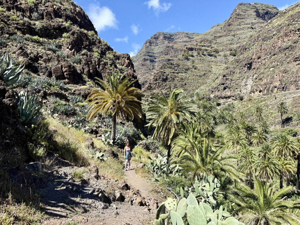 que ver en la gomera 2 dias