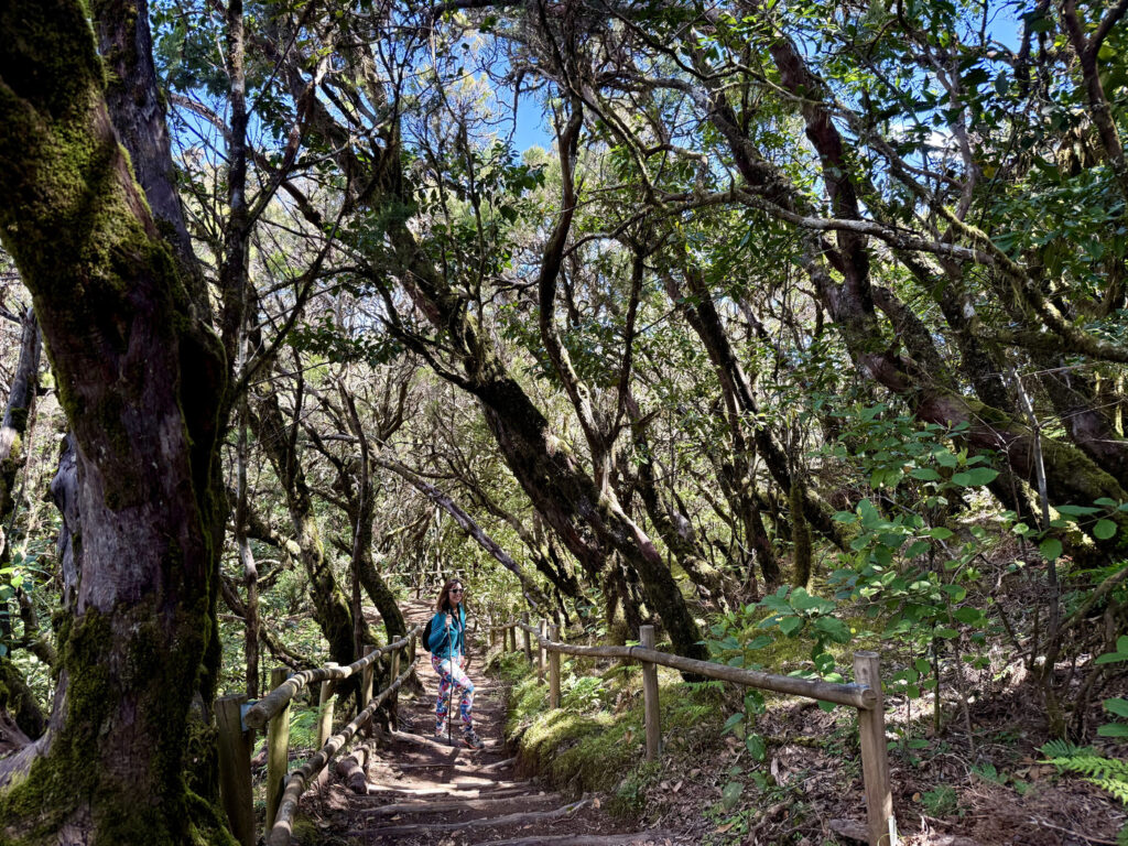 senderismo la gomera