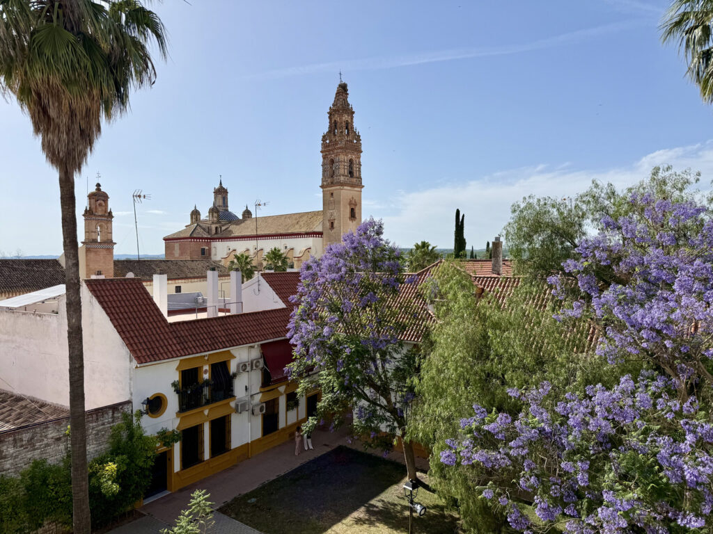 palma del Río que ver y hacer