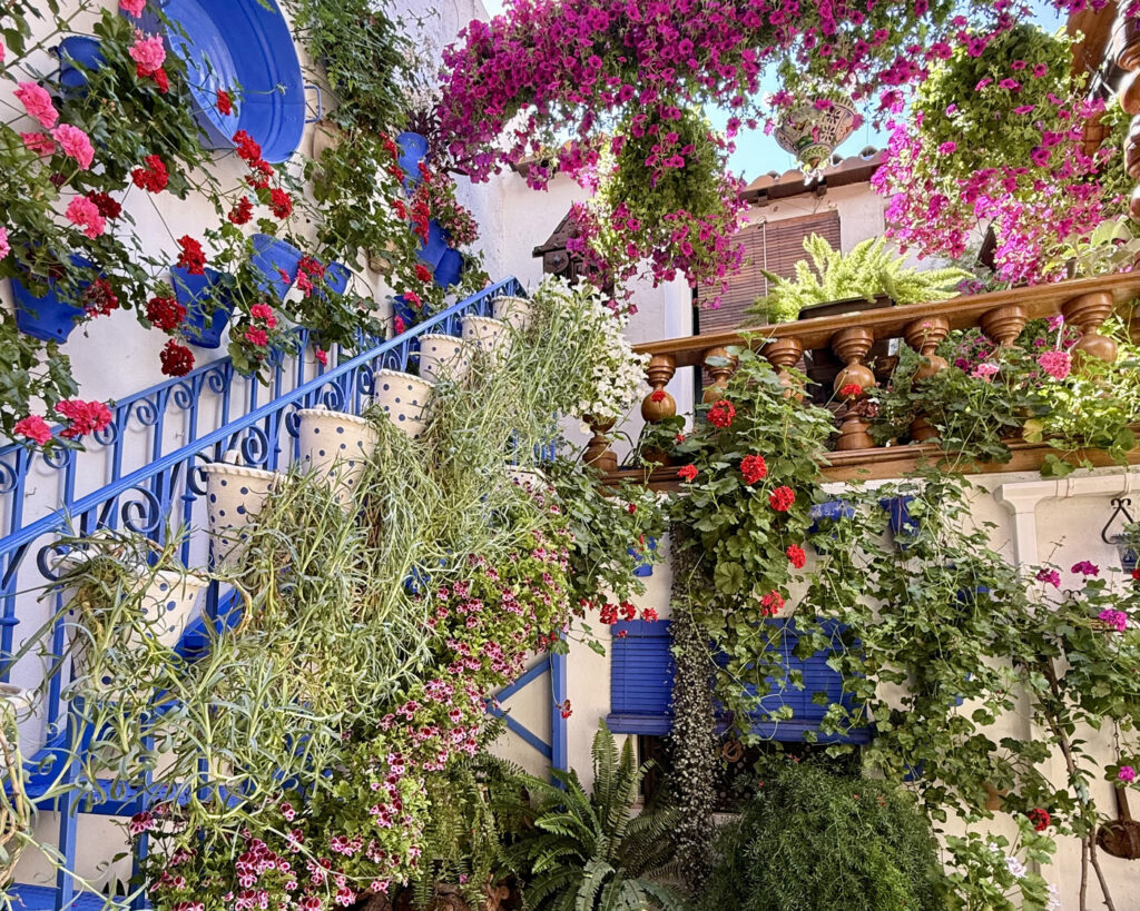 patios de cordoba horarios