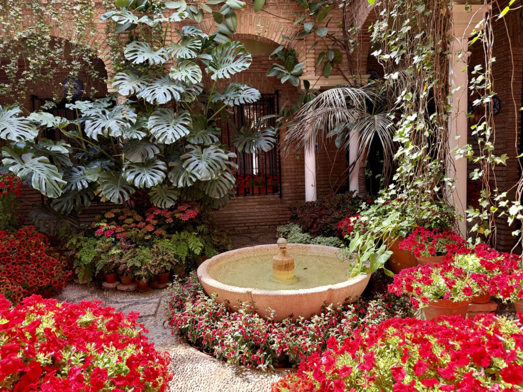 patios de cordoba mapa