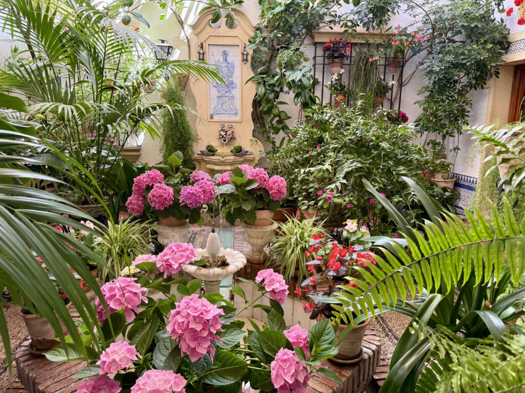 patios de cordoba programa