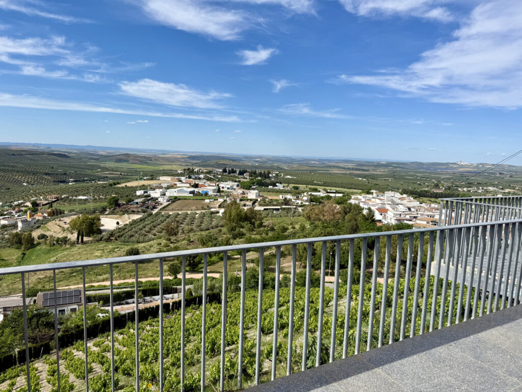 que ver en montilla en un dia