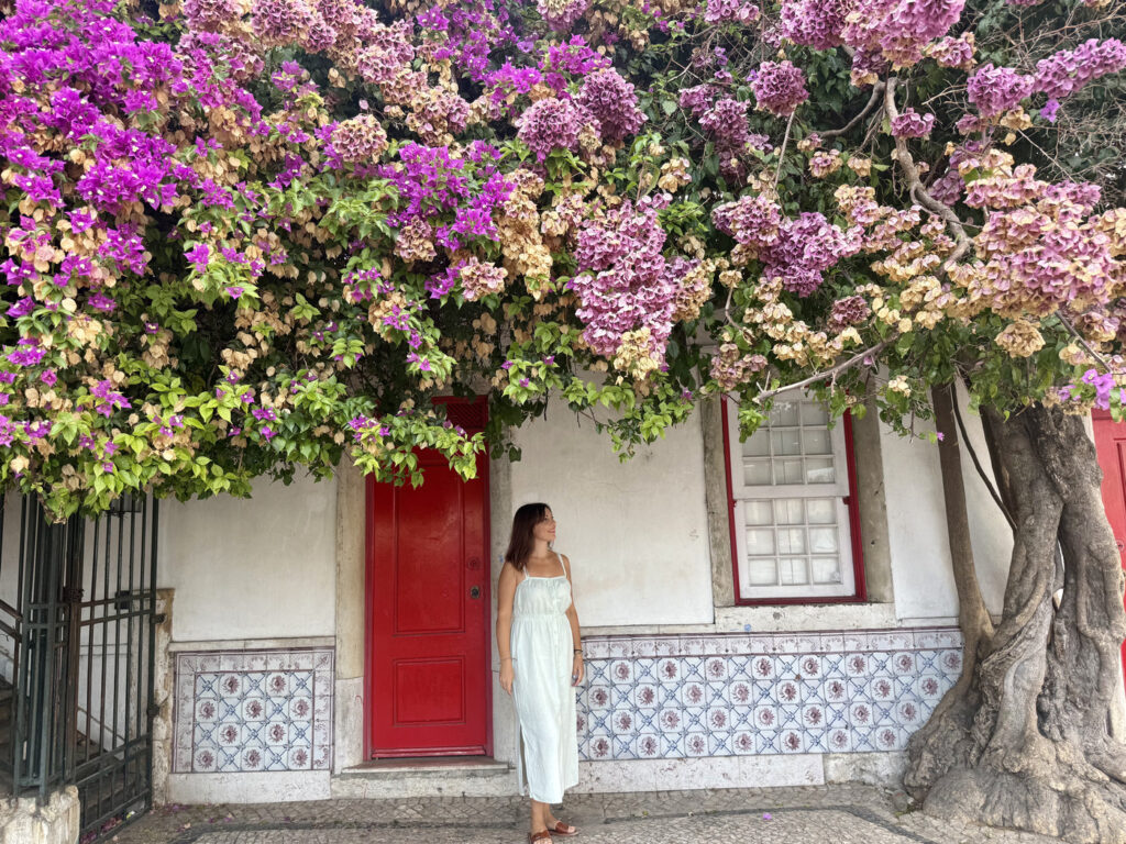 que ver en Lisboa y alrededores